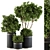 Elegant Indoor Plant Set: Black & Gold 3D model small image 1