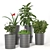 Stylish Indoor Plant Vases 3D model small image 1