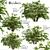 Versatile Set of Fatsia Japonica Bushes 3D model small image 1