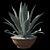 Title: American Blue Agave: Stunning Potted Plant 3D model small image 2