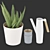 Soothing Set: Aloe Vera & Bittergurka Watering Can 3D model small image 2
