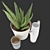 Soothing Set: Aloe Vera & Bittergurka Watering Can 3D model small image 3