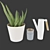 Soothing Set: Aloe Vera & Bittergurka Watering Can 3D model small image 8