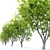 Marshall Green Ash: Seedless Fraxinus 3D model small image 2