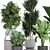 Exotic Plant Collection: Schefflera, Banana Palm & More 3D model small image 3