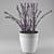 White Ceramic Lavender: Stunning 3D Model 3D model small image 1