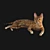 BengalCat: Hair & Fur, 2014 Version 3D model small image 1