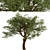 Mediterranean Treasure: Set of 2 Olive Trees 3D model small image 3