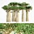 Tropical Baobab Jungle: 5 Majestic Trees 3D model small image 1