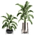 Title: Tropical Plant Collection: Banana Palm, Ravenala, Strelitzia 3D model small image 4