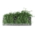Greenery Collection Vol. 19: High-Quality 3D Plant Models 3D model small image 2