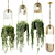 Hanging Planters with Ampel Plants 3D model small image 1