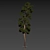 Towering Pinus: 13.5m Pine Tree 3D model small image 3