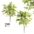 2 Acacia Corona Wood Blocks 3D model small image 2