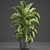 Tropical Plant Collection: Banana Palm, Ravenala, Strelitzia 3D model small image 1