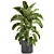 Tropical Plant Collection: Banana Palm, Ravenala, Strelitzia 3D model small image 2