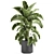 Tropical Plant Collection: Banana Palm, Ravenala, Strelitzia 3D model small image 6