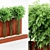 Bamboo Wall & Outdoor Plants: 4.5m Height & 5 Tree Models 3D model small image 3