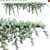 Coastal Sagebrush - 3D Model Archive 3D model small image 1