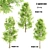 Lush Sorrel Trees: 3 Varieties 3D model small image 1
