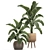 Tropical Paradise Plant Collection 3D model small image 1