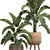 Tropical Paradise Plant Collection 3D model small image 4