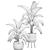 Tropical Paradise Plant Collection 3D model small image 5
