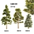 3-Pine Vray 3D Models 3D model small image 1