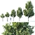 Young Oak Tree Collection: 5 Trees, 3-9m 3D model small image 1