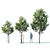 Young Oak Tree Collection: 5 Trees, 3-9m 3D model small image 3