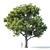Trio of Majestic Oak Trees 3D model small image 3