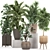 Tropical Plant Collection in Rattan Baskets 3D model small image 1