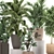 Tropical Plant Collection in Rattan Baskets 3D model small image 4