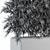 Tropical Vibes: Palm in Plant Box 3D model small image 5