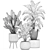 Exotic Banana Palm: Perfect for Indoors & Outdoors 3D model small image 5