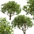 Exotic Plumeria Duo: Vibrant Tropical Trees 3D model small image 5
