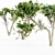  Majestic Monterey Cypress Tree Set 3D model small image 4