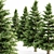 5-Tree Set of Norway Spruce 3D model small image 1