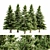 5-Tree Set of Norway Spruce 3D model small image 3