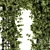 Pergola Ivy Set: Outdoor Beauty 3D model small image 4