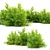 Japanese Spiraea Bush - 1m Height 3D model small image 2