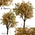 Temperate Chestnut Tree Duo 3D model small image 2