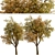 Temperate Chestnut Tree Duo 3D model small image 3