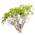 13M Acacia Tree: Majestic and Versatile 3D model small image 3