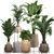 Tropical Plant Collection: Exotic & Indoor Plants in Rattan Basket 3D model small image 1
