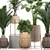 Tropical Plant Collection: Exotic & Indoor Plants in Rattan Basket 3D model small image 3