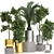 Tropical Plant Collection: Exotic & Decorative 3D model small image 1