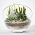 EcoSphere: Mini Indoor Garden 3D model small image 1