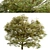 Delightful Set of Hawthorn Trees 3D model small image 3