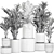 Exotic Plant Collection: Chrome Vases 3D model small image 5
